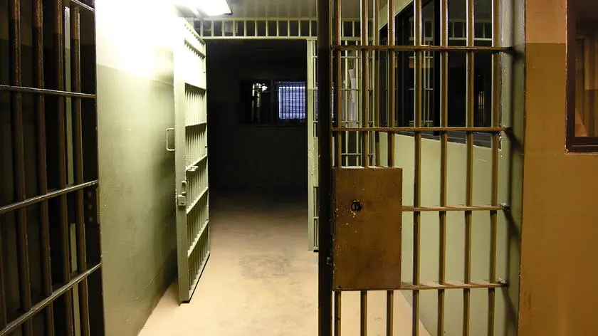 Zakopali ciało w lesie i przykryli gałęziami. Jest wyrok sądu