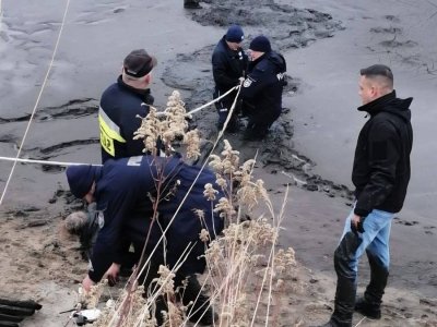 73-latka odnalazła się w stawie. Wyciągnęli ją na brzeg