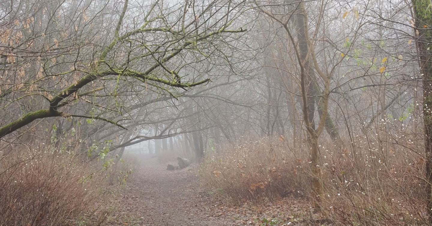 5 lat od zbrodni na Zdrowiu. Łodzianki boją się chodzić do parku