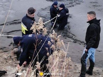 Dramatyczna akcja na Podkarpaciu. 73-latka wyciągnięta zestawu