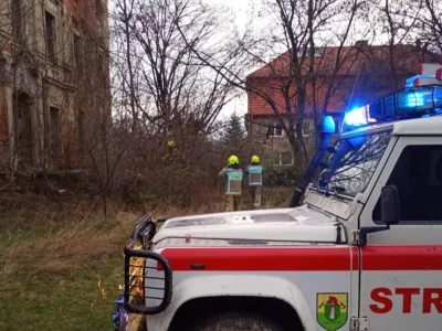 Wielka akcja pod Wrocławiem. Służby szukają zaginionej kobiety